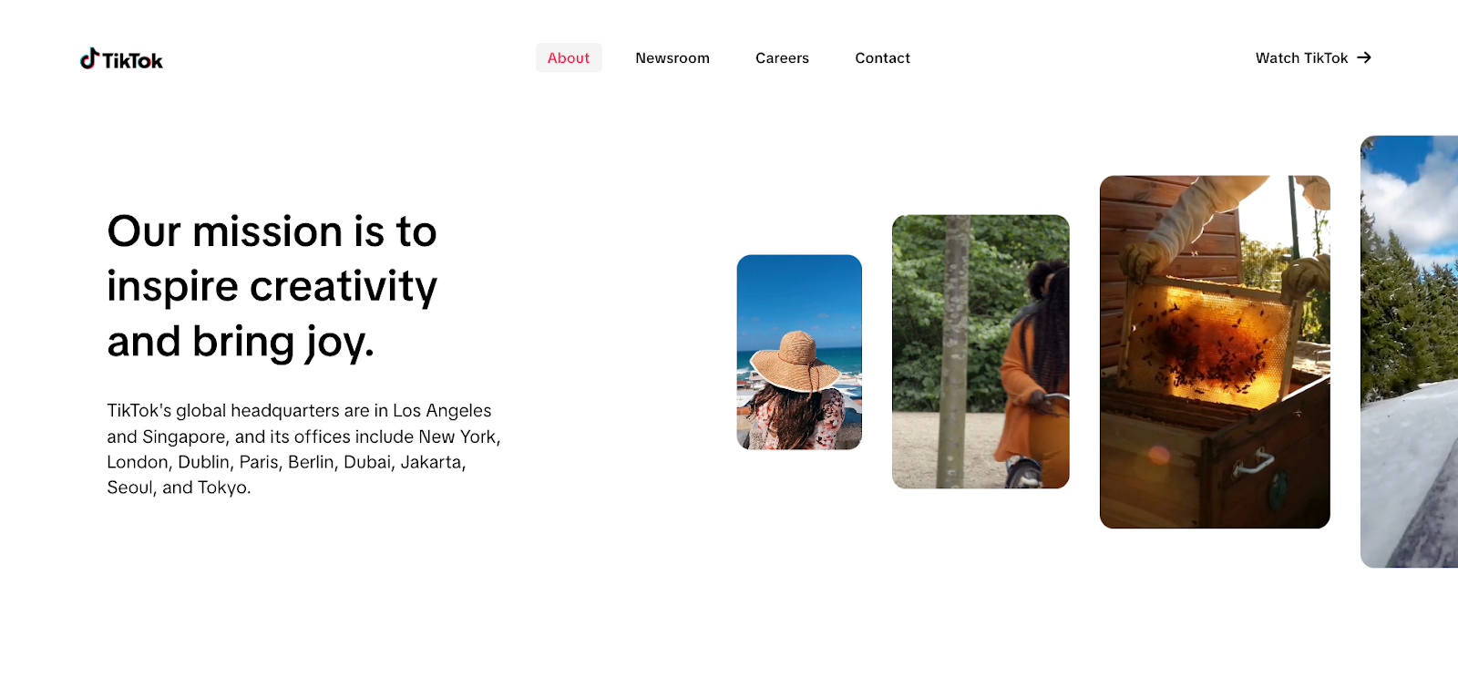 TikTok homepage showing newsroom, careers, and more